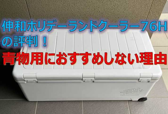 ◇オススメ◇ ホリデーランドクーラー76H 76H SHINWA 伸和 ホワイト 89 伸和(SHINWA) ホリデーランドクーラー76H 76H ホワイト 小さい