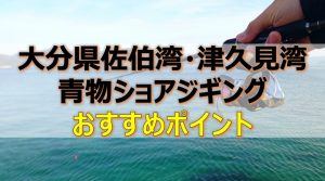 大分県佐伯湾・津久見湾の青物ショアジギングのおすすめポイントとルアー