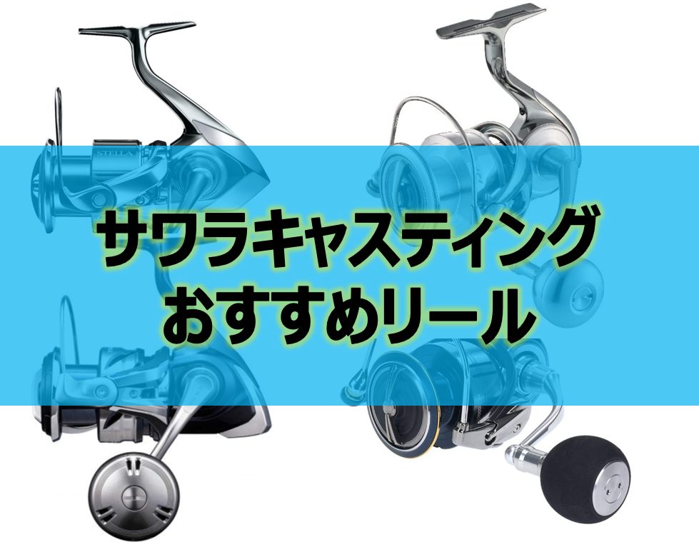 サワラキャスティングに！ ダイワロッドリールセット！ ▽東京湾サワラ 