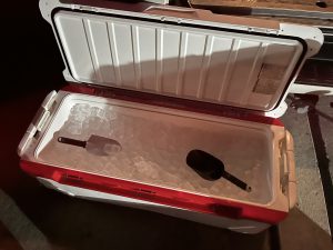 ガレワン号の氷無料サービス