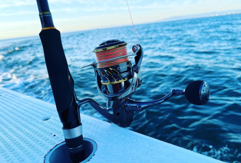 20ツインパワーC5000xgを1年使ったインプレ！青物キャスティングやSLJ  