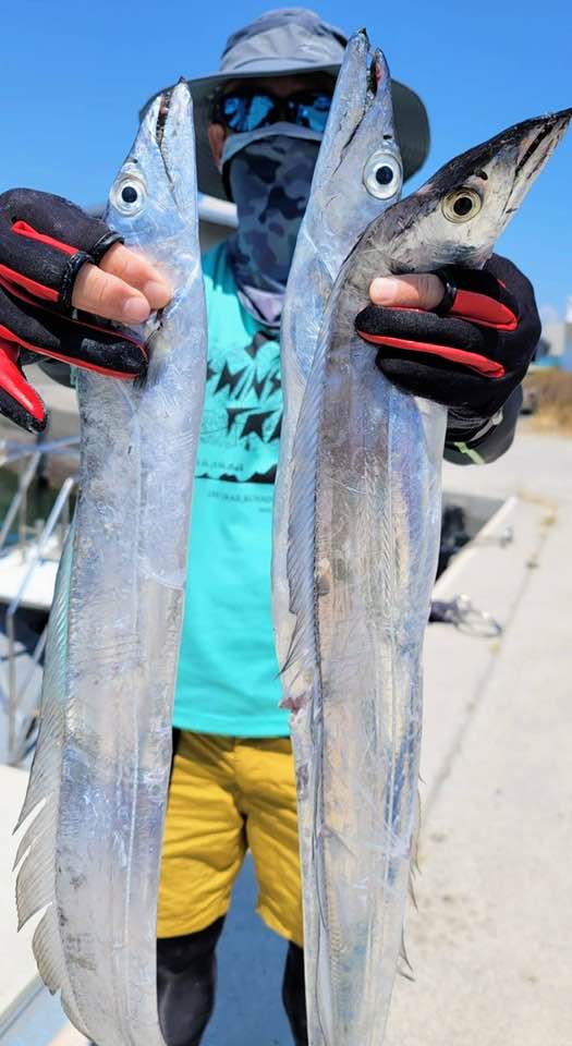 伊勢湾の太刀魚ジギング釣果まとめ1