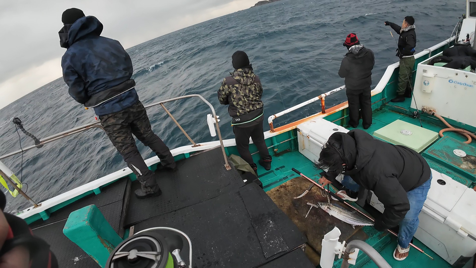 釣った魚は船長が締めてくれる