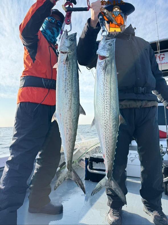 サワラのダブルヒット