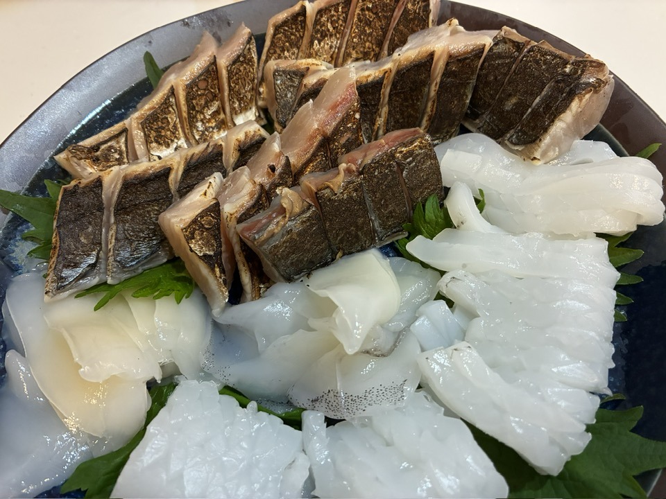 アオリイカのお刺身とサゴシの炙り