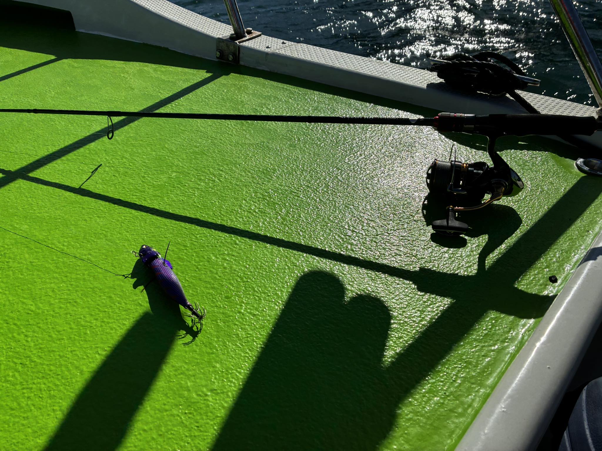 ティップランエギング