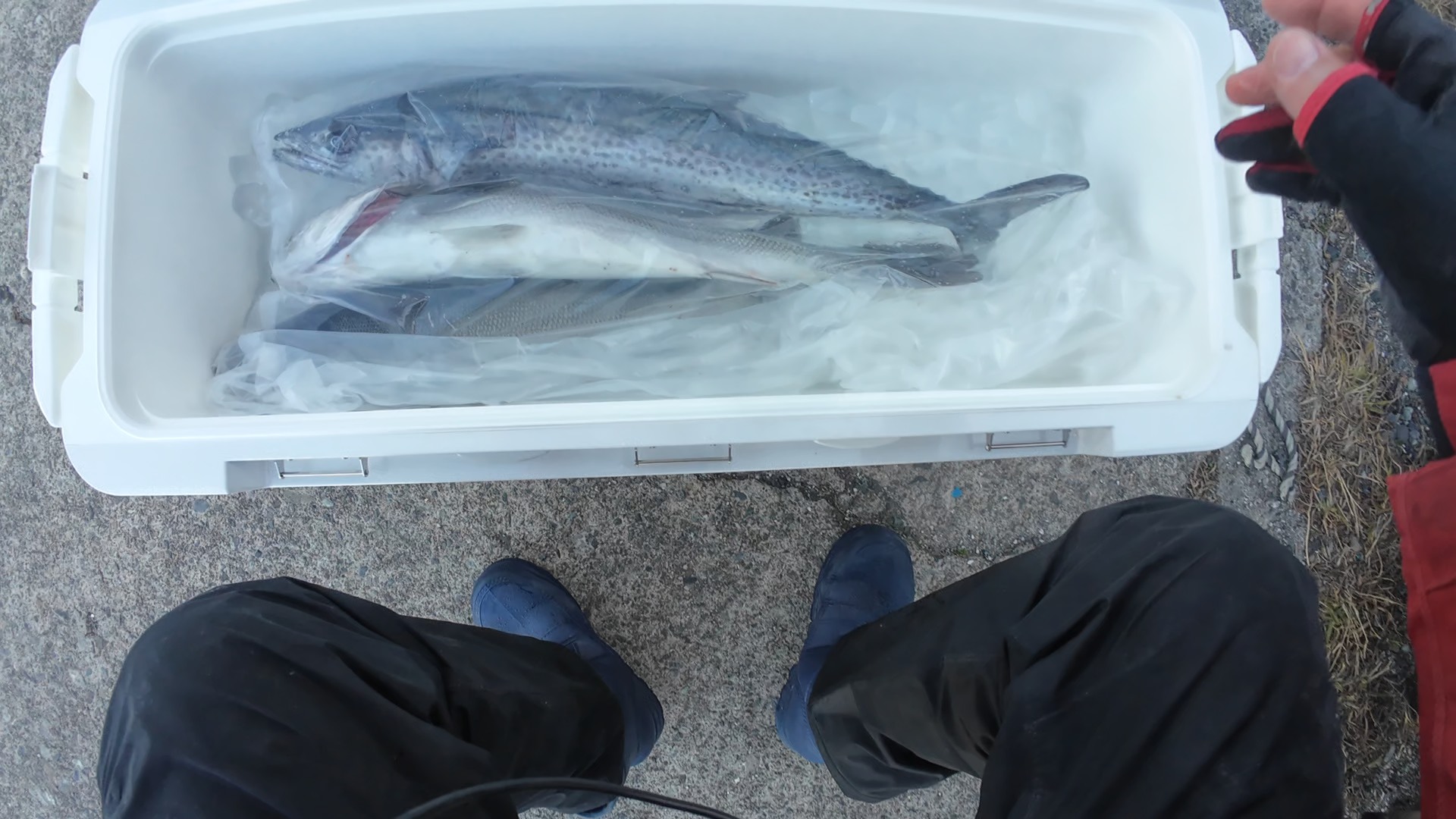 ジギング・サワラキャスティングに6000サイズを推奨する理由