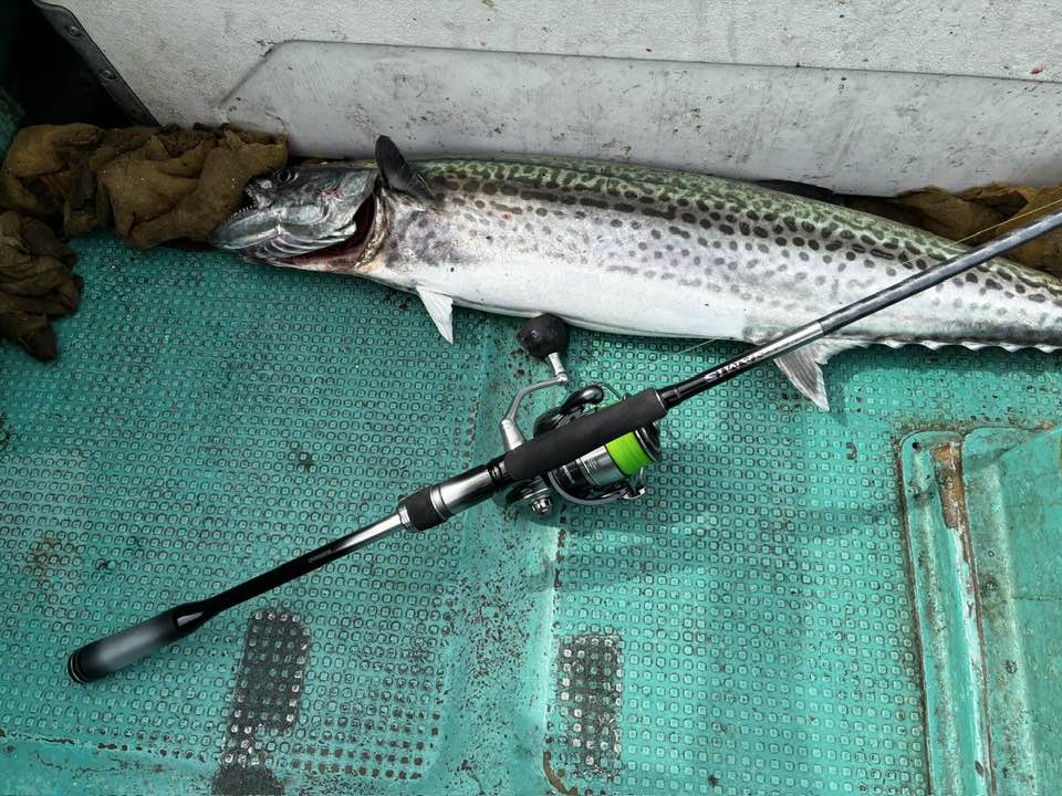 実録！オフショア・サワラキャスティングで使ってみた